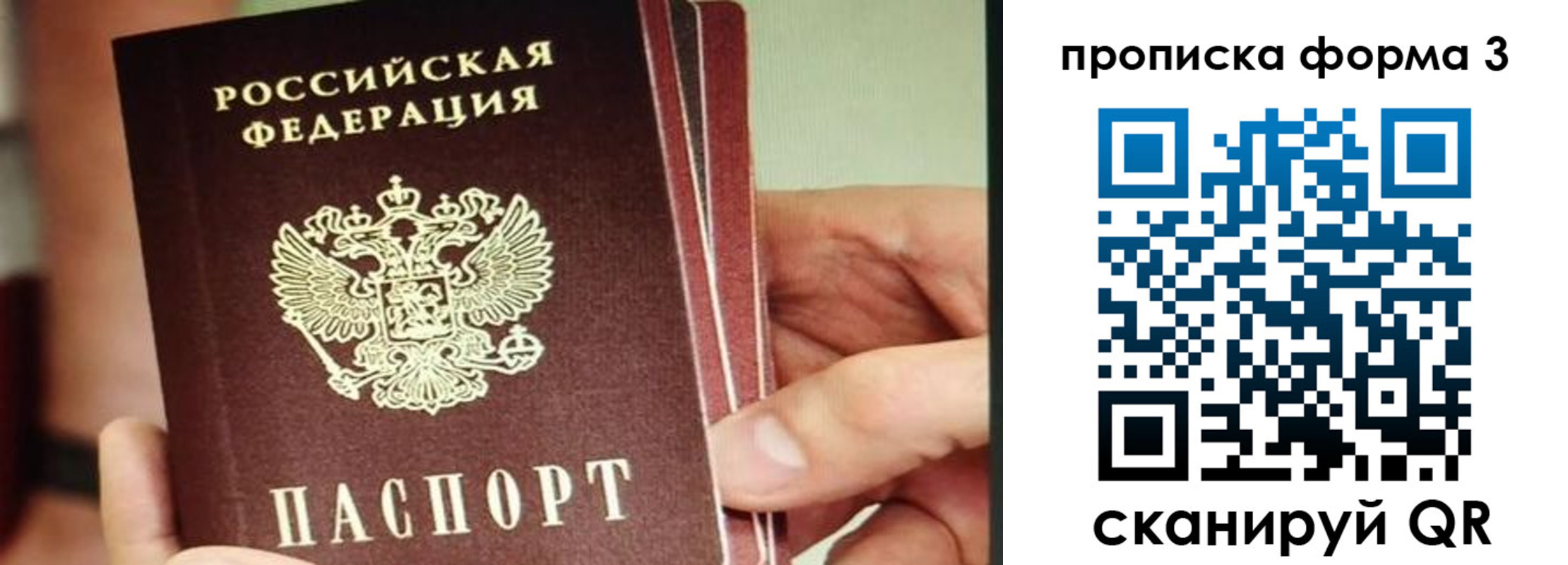 прописка законно в Черняховске